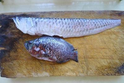 銀龍魚的鱗片有點發紅（銀龍魚鱗片發紅可能由多種因素引起，以下原因及其對應的解決方法）