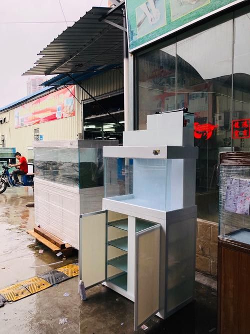 濰坊哪里有賣龍魚的地方呀圖片 龍魚百科 第20張 濰坊哪里有賣龍魚的地方呀圖片 濰坊哪里有賣龍魚的地方呀圖片 龍魚百科 第20張