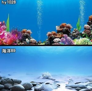 金龍魚缸造景：金龍魚缸造景的注意事項