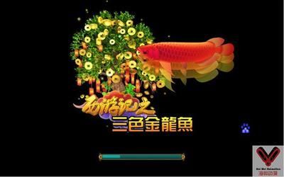金龍魚(yú)游戲軟件叫什么，合成金龍魚(yú)游戲攻略