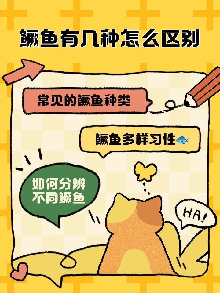 老虎魚就是桂魚嗎