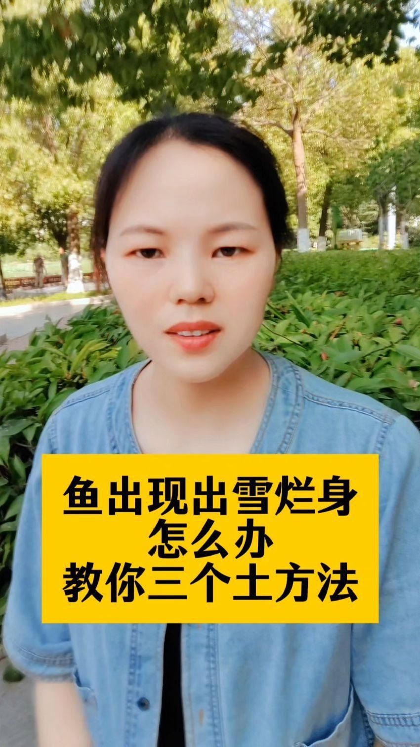 如何預防魚身上再次出現潰爛