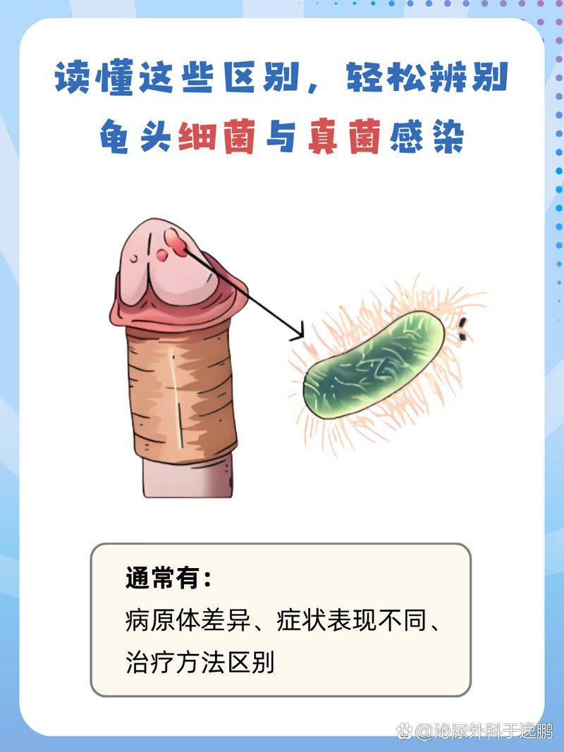 如何判斷珠鱗是否因細菌感染