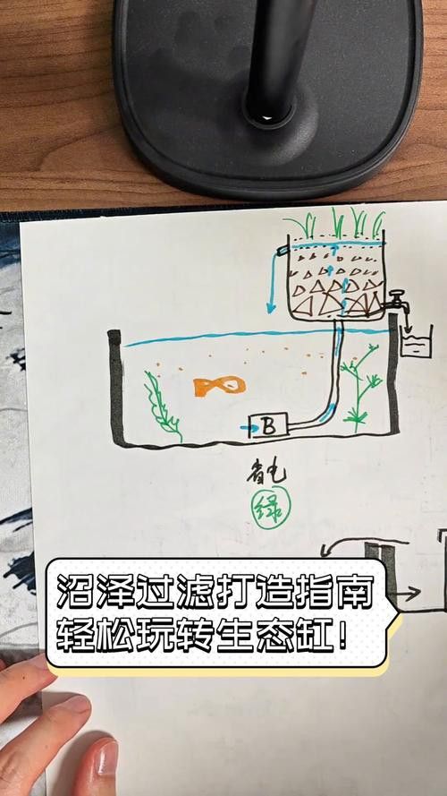 爬背期間如何保持水質穩定？