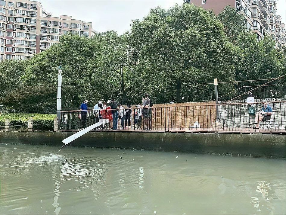 上海龍魚展會死魚事件始末是什么 上海龍魚展會死魚事件始末是什么 龍魚百科 第2張