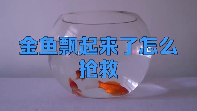 金魚浮頭時應該如何急救？