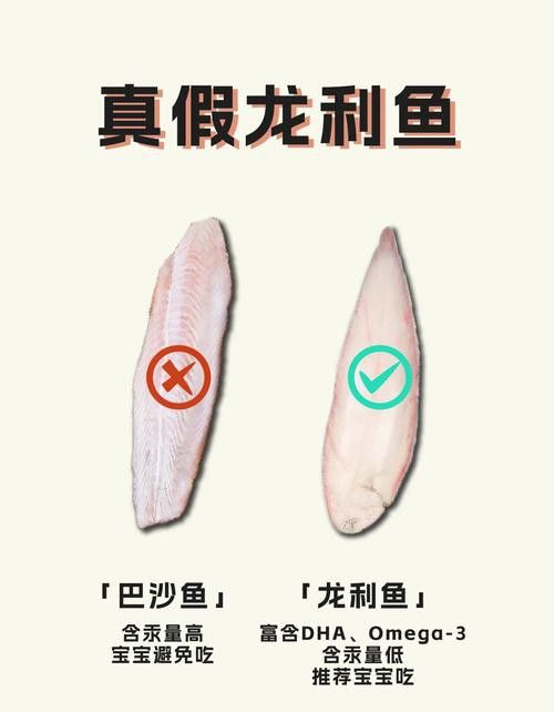 金龍魚(yú)和龍利魚(yú)有什么區(qū)別圖片對(duì)比