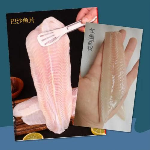 金龍魚(yú)和龍利魚(yú)有什么區(qū)別圖片對(duì)比