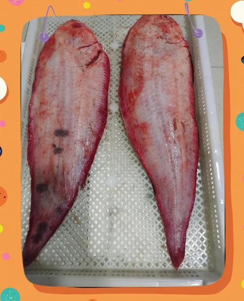 金龍魚(yú)和龍利魚(yú)有什么區(qū)別圖片對(duì)比