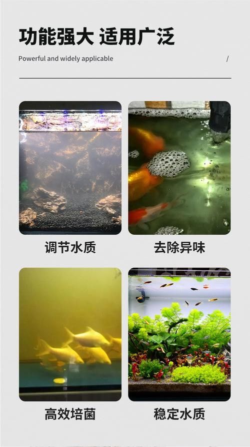 龍魚濾材哪個牌子好一點啊圖片