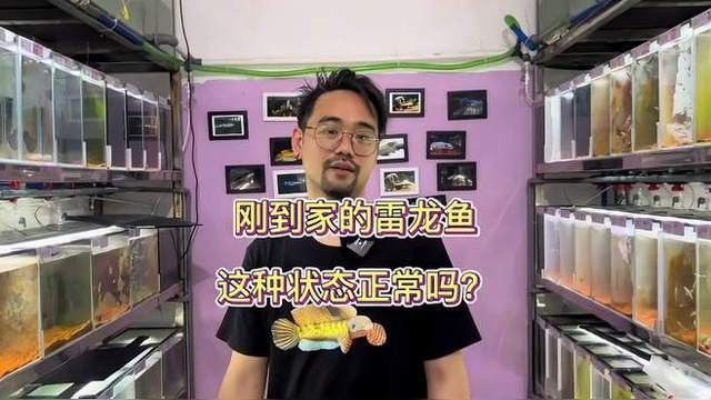 如何判斷雷龍魚是否適應環境？