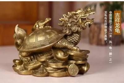 龍魚擺放的風水位置【龍魚擺放的風水位置在哪里？】