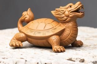龍魚擺放的風水位置【龍魚擺放的風水位置在哪里？】