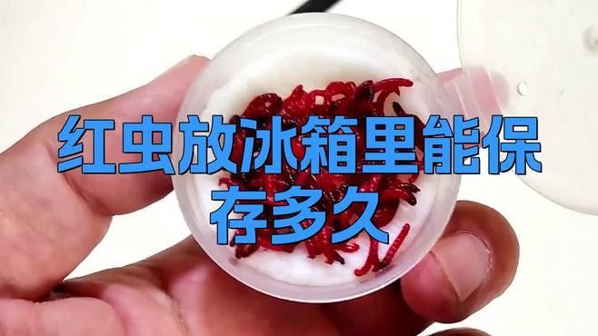 解凍后的凍紅蟲如何保存？