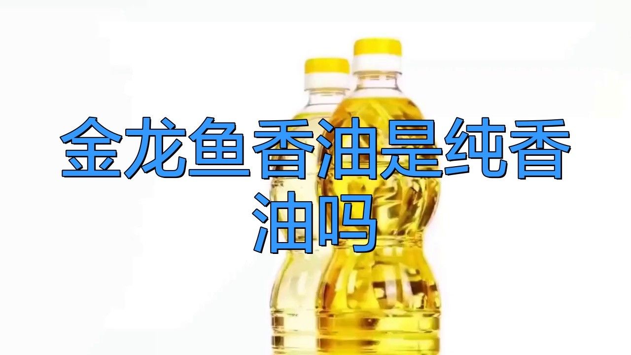金龍魚?；逝浦ヂ橄阌? title=
