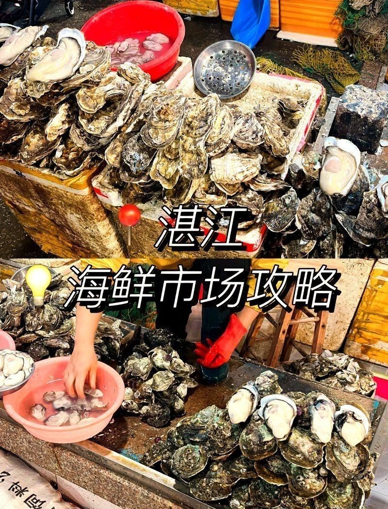 湛江龍魚價格行情最新