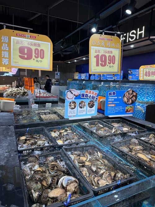 湛江龍魚價格行情最新