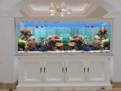 金龍魚缸擺放位置：金龍魚缸擺放位置被認為能夠影響家中財運和運勢和運勢
