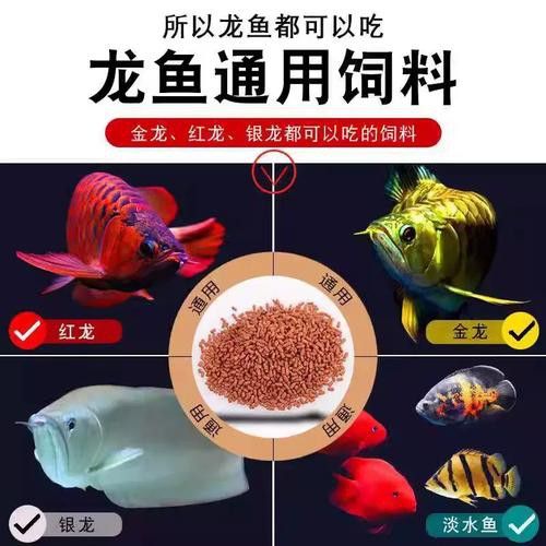 紅龍魚增色飼料配方大全圖