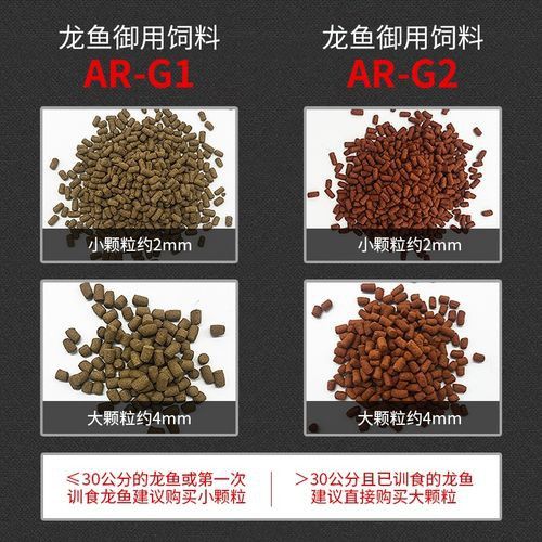 紅龍魚增色飼料配方大全圖