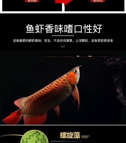 紅龍魚增色飼料配方大全圖