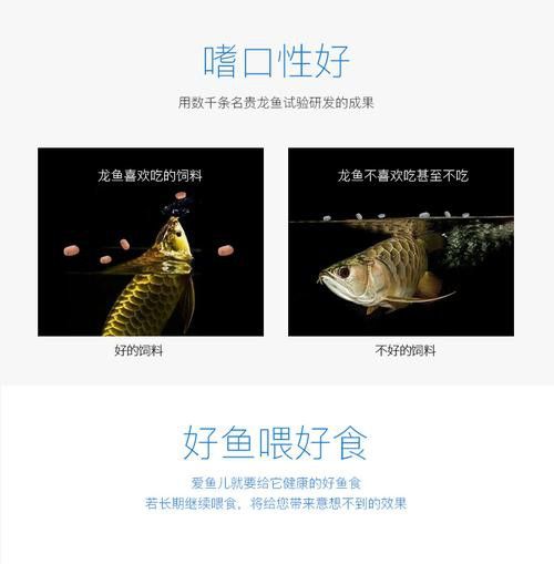紅龍魚增色飼料配方大全圖