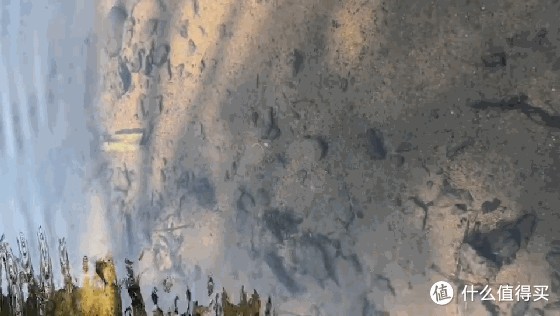 養龍魚的缸可以做溪流缸嗎：養龍魚的缸可以做溪流缸嗎養龍魚的缸可以做溪流缸嗎