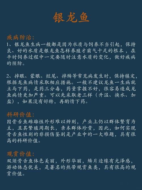 如何養銀龍魚視頻大全教程圖解