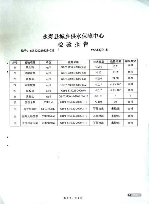 如何養銀龍魚視頻大全教程圖解