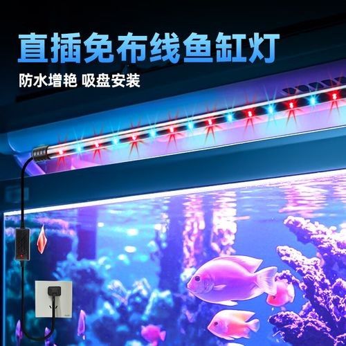龍魚專用燈管品牌有哪些牌子