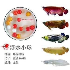龍魚浮在水面不動(dòng)怎么辦：龍魚呆在水面不動(dòng)怎么辦