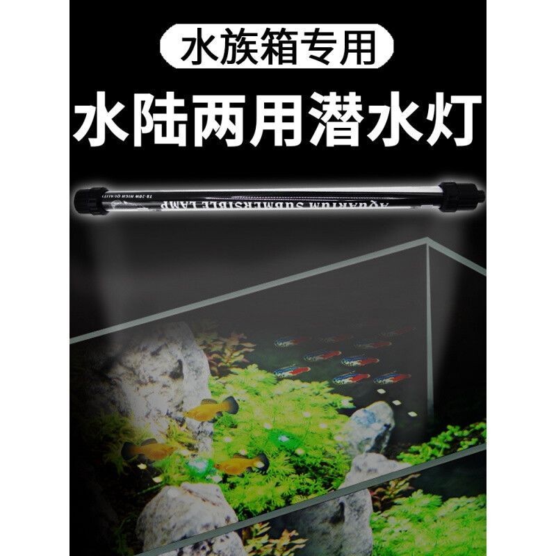 七彩龍魚什么時候變色正常：七彩龍魚變色時間主要取決于其生長環境和飼養方式