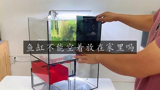 空魚缸放10大忌