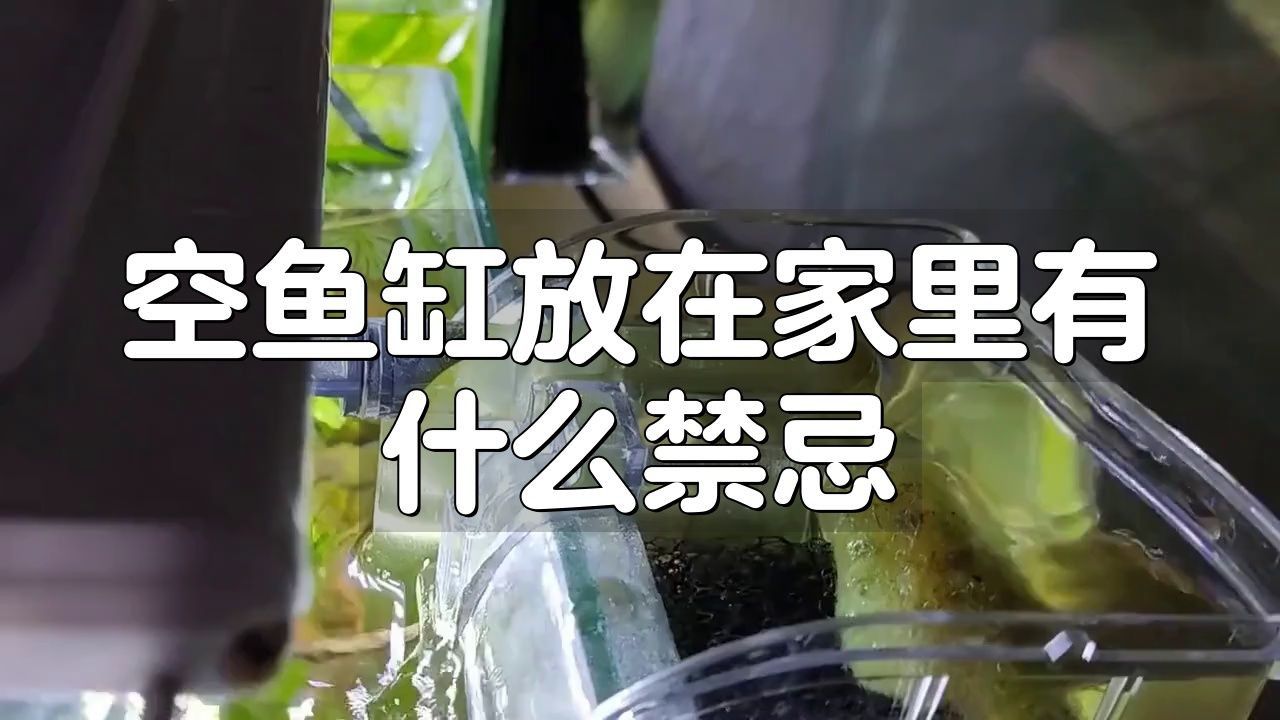 空魚缸放10大忌