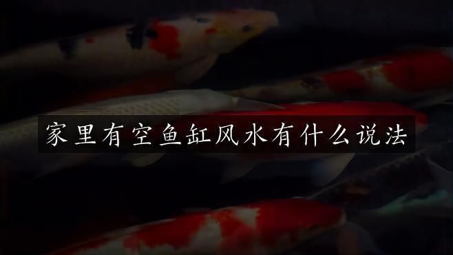 空魚缸放10大忌