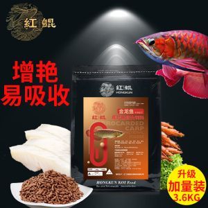 白玉紅龍魚吃什么飼料好養活：白玉紅龍魚的飼料選擇應多樣化，白玉紅龍魚飼料的選購技巧