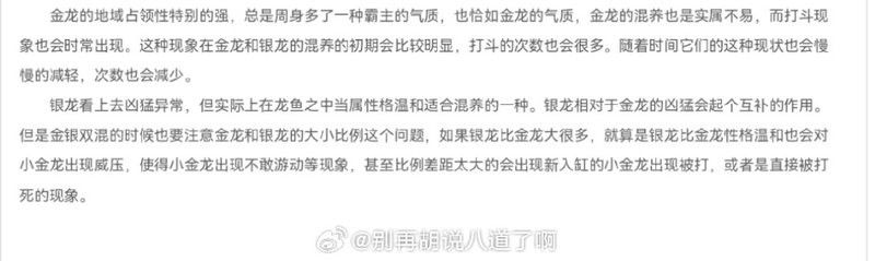 銀龍魚和金龍魚哪個(gè)更兇猛？