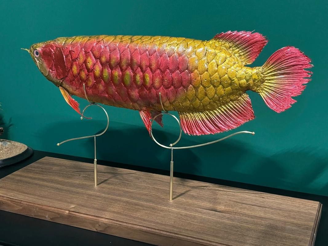 深海龍魚(yú)介紹圖片