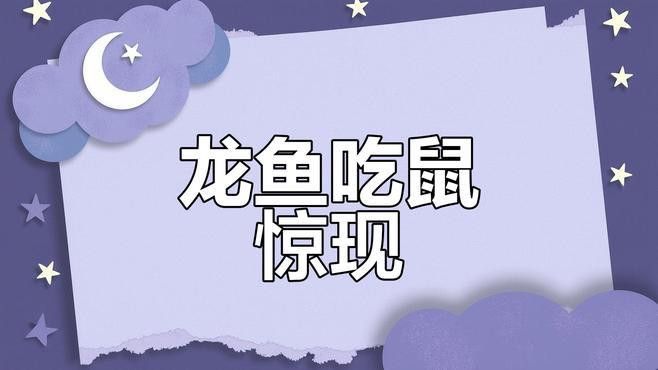 深海龍魚介紹圖片
