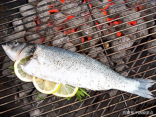 金龍魚能感知疼痛嗎？