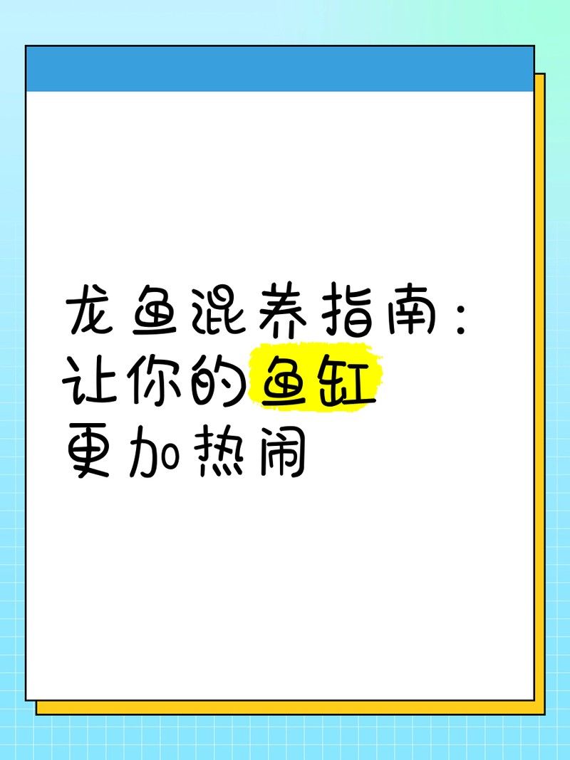龍魚混養的最佳數量是多少？