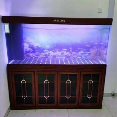 龍魚缸怎么選擇好的魚:如何根據(jù)龍魚缸的特性選擇合適的魚類 龍魚百科 第5張 龍魚缸怎么選擇好的魚:如何根據(jù)龍魚缸的特性選擇合適的魚類 龍魚缸怎么選擇好的魚:如何根據(jù)龍魚缸的特性選擇合適的魚類 龍魚百科 第5張