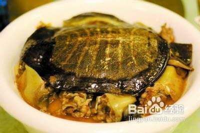 龍魚的功效和營養價值：龍魚的神奇功效與營養