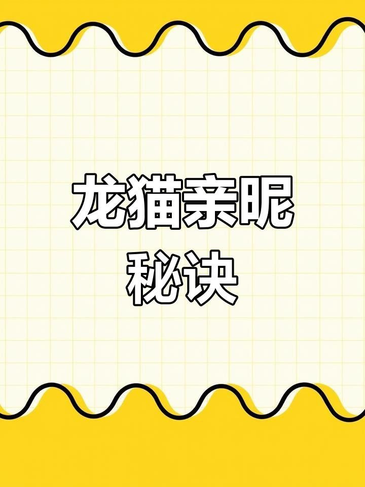 有哪些方法可以幫助龍貓建立信任？