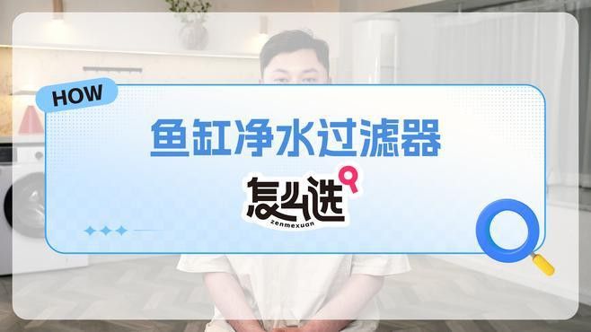 推薦幾款適合過背金龍的過濾設備