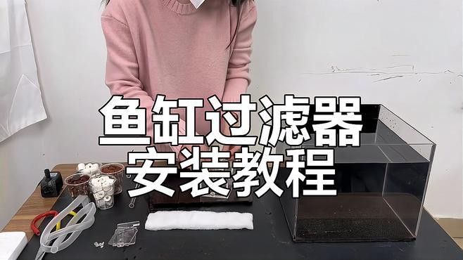 推薦幾款適合過背金龍的過濾設備