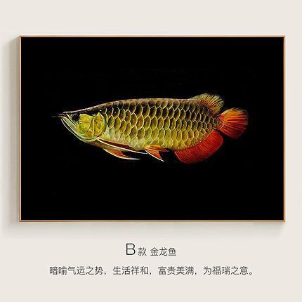 金龍魚不吃食物能活幾天：金龍魚在不吃食物的情況下，一般能存活多久？