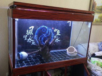 龍魚適合在什么魚缸里養(yǎng)：90厘米長的魚缸能養(yǎng)龍魚嗎龍魚適合養(yǎng)龍魚嗎