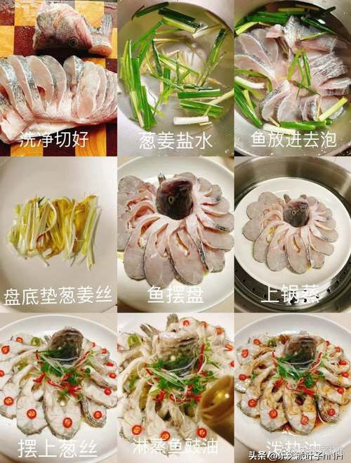 盤龍魚圖片欣賞