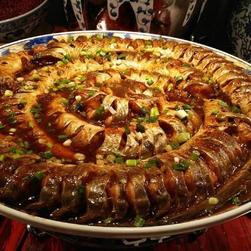 盤龍魚圖片欣賞